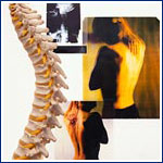 Toronto Chiropractors